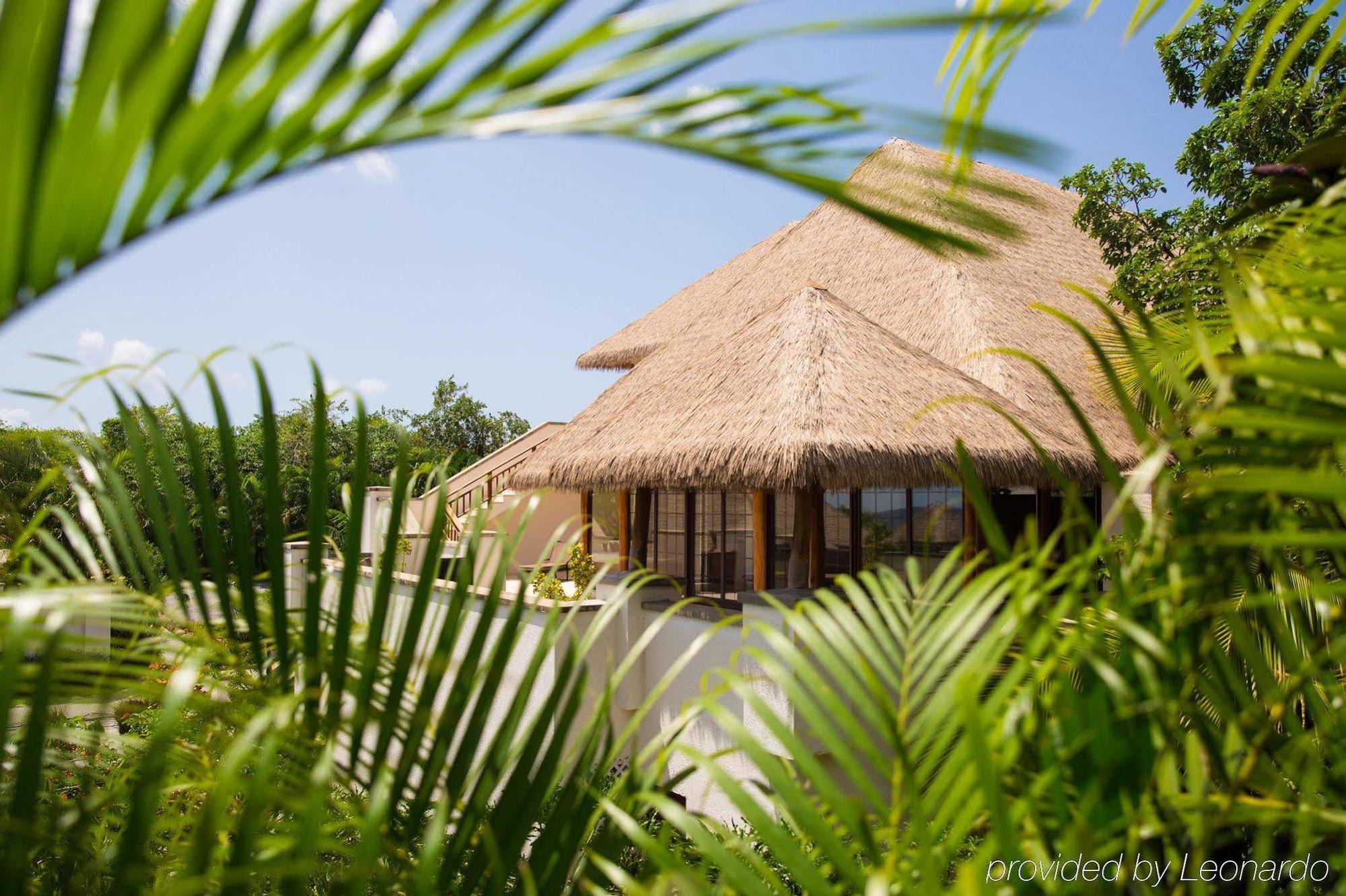 Paradise Beach Nevis São Cristóvão e Névis Exterior foto