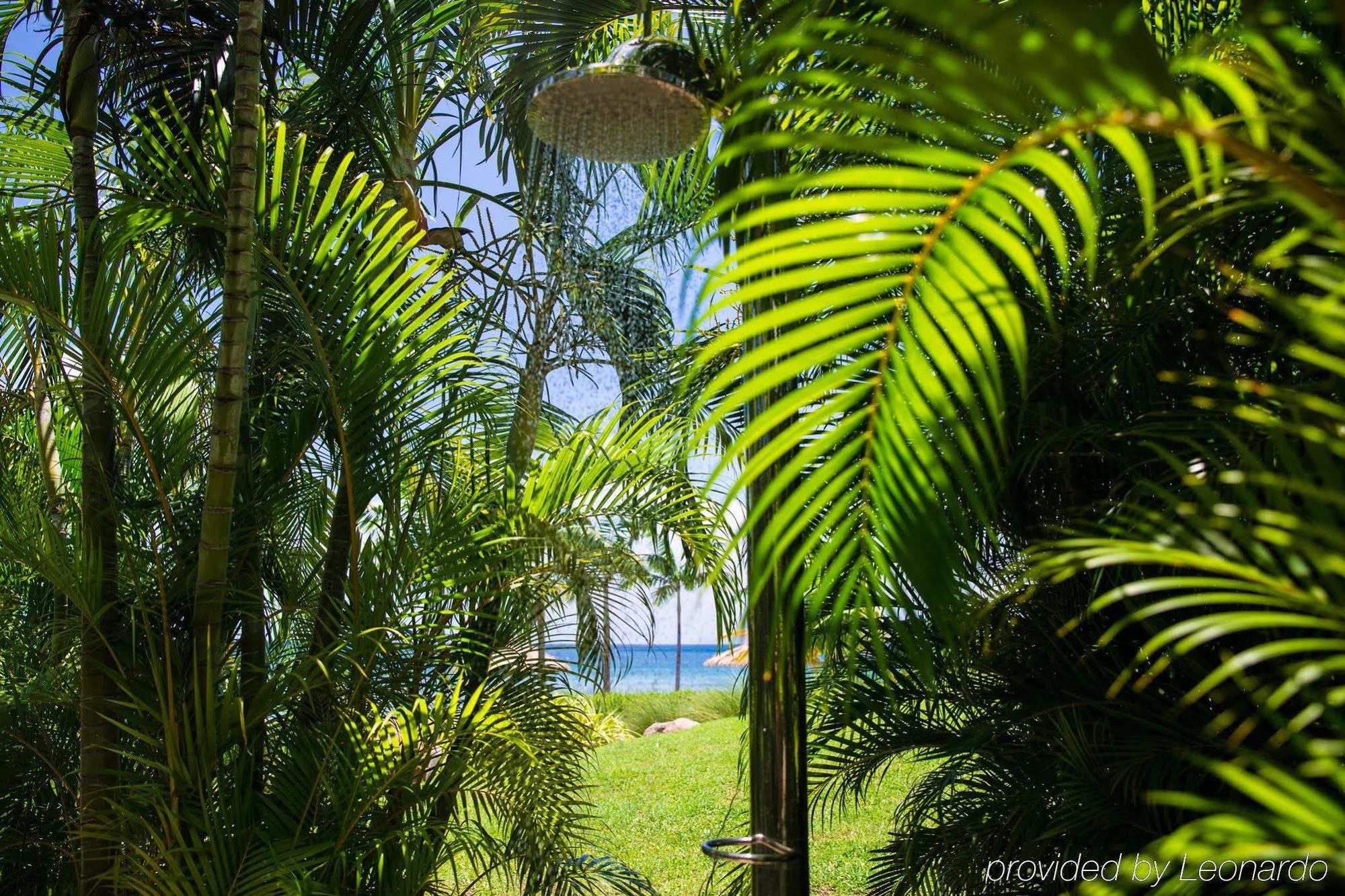 Paradise Beach Nevis São Cristóvão e Névis Exterior foto